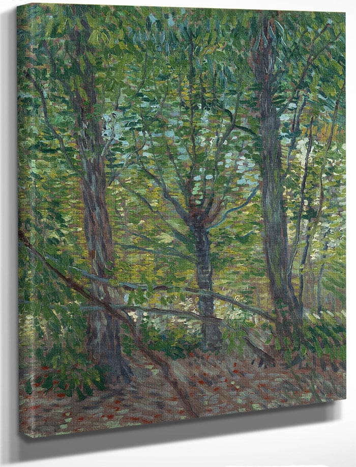 Trees By Vincent Van Gogh