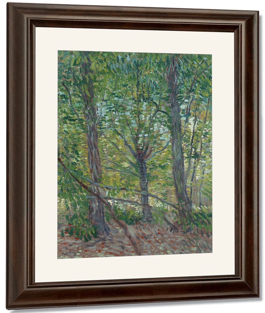 Trees By Vincent Van Gogh - Image 4