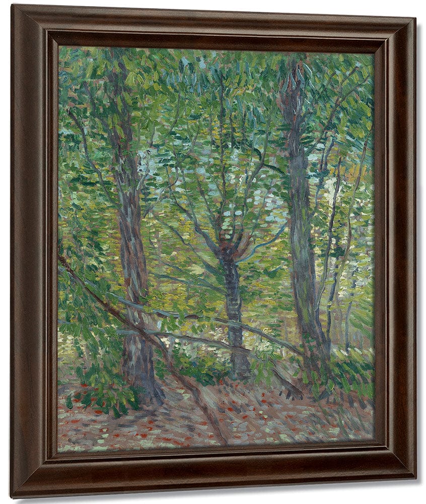 Trees By Vincent Van Gogh - Image 5