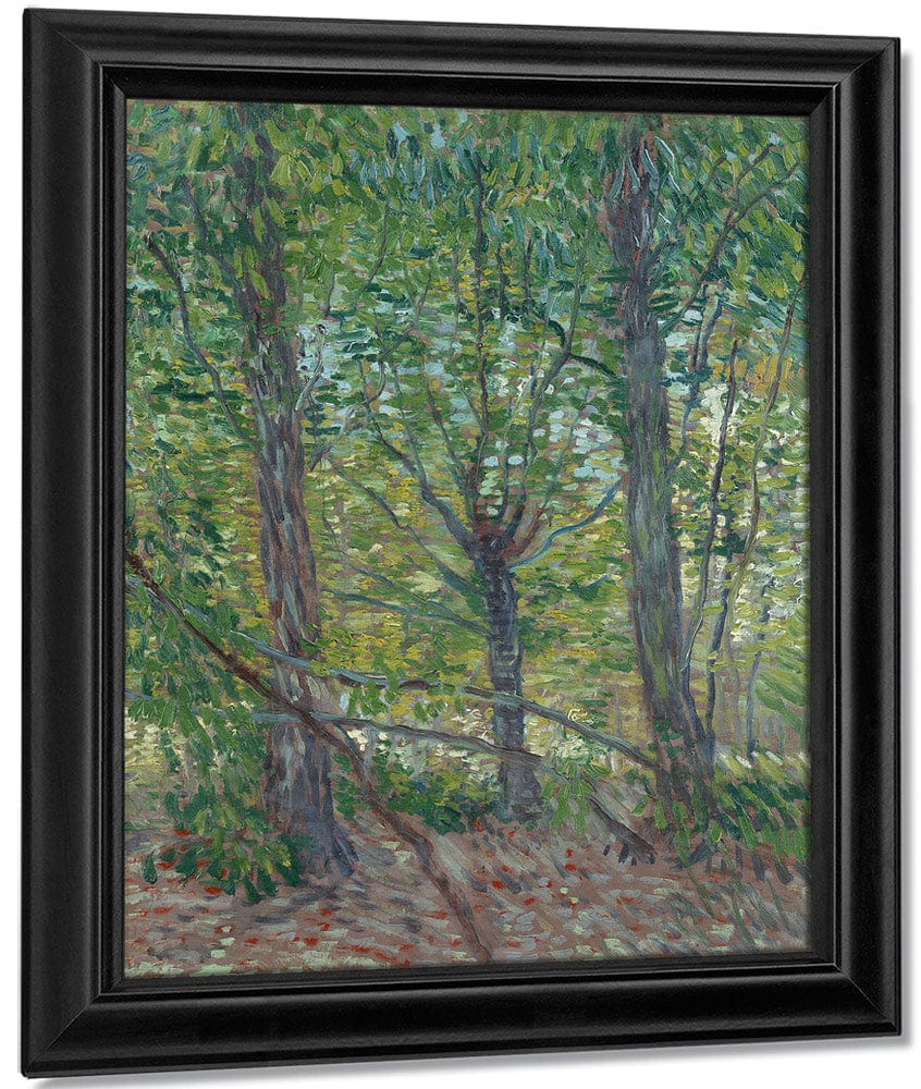 Trees By Vincent Van Gogh - Image 7