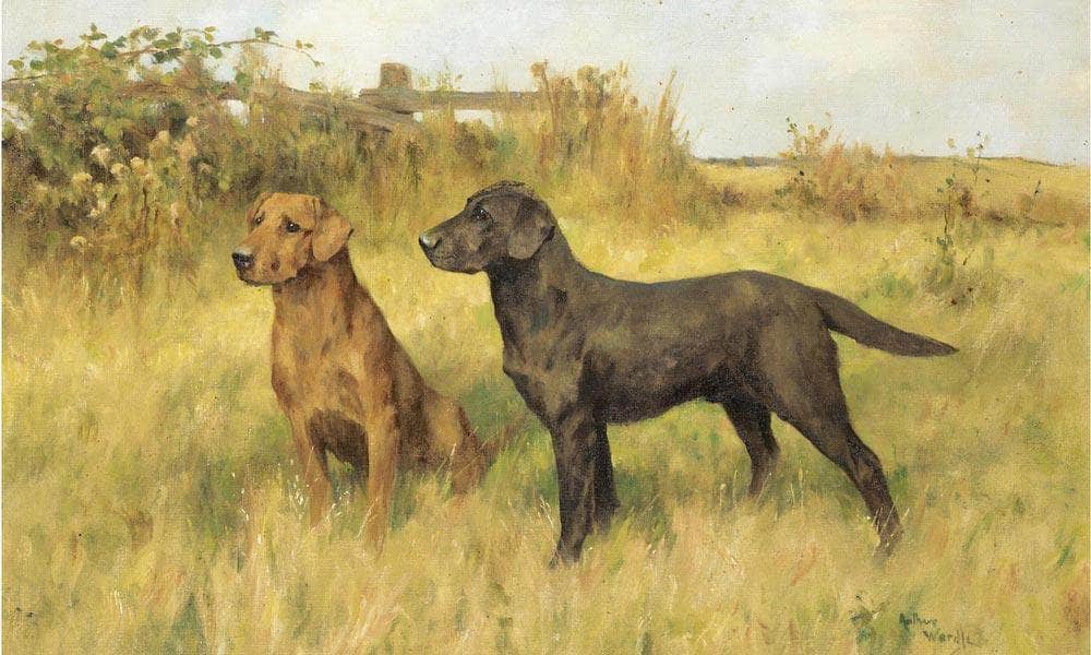 Two Labradors By Arthur Wardle - Image 7