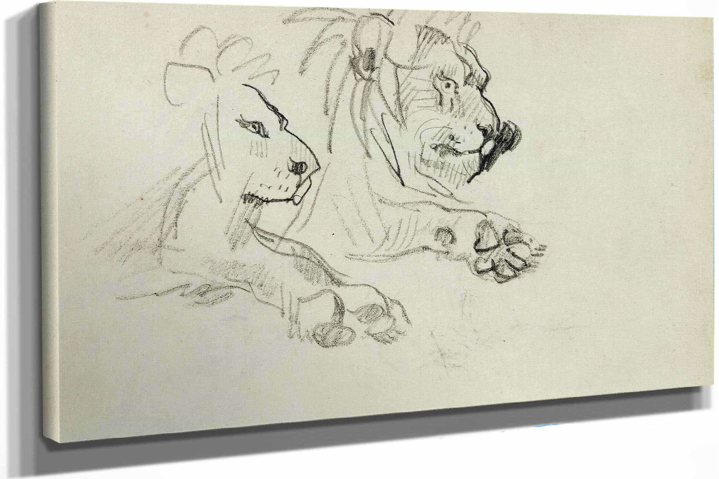 Two Lion Studies by Theodore Gericault