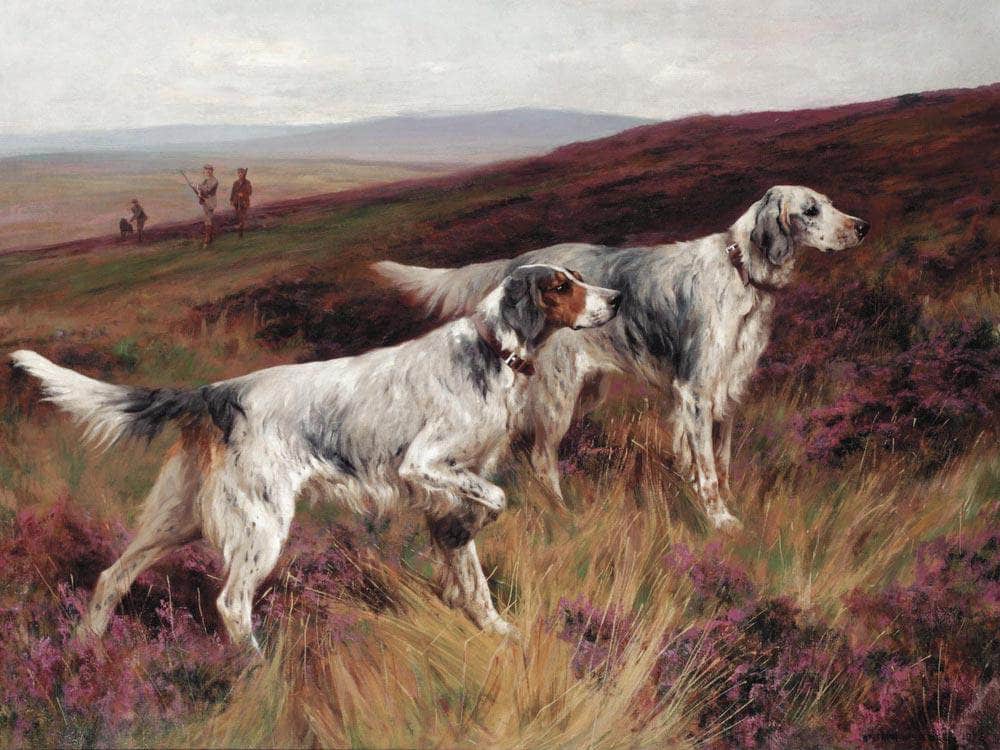 Two Setters On A Grouse Moor By Arthur Wardle - Image 7