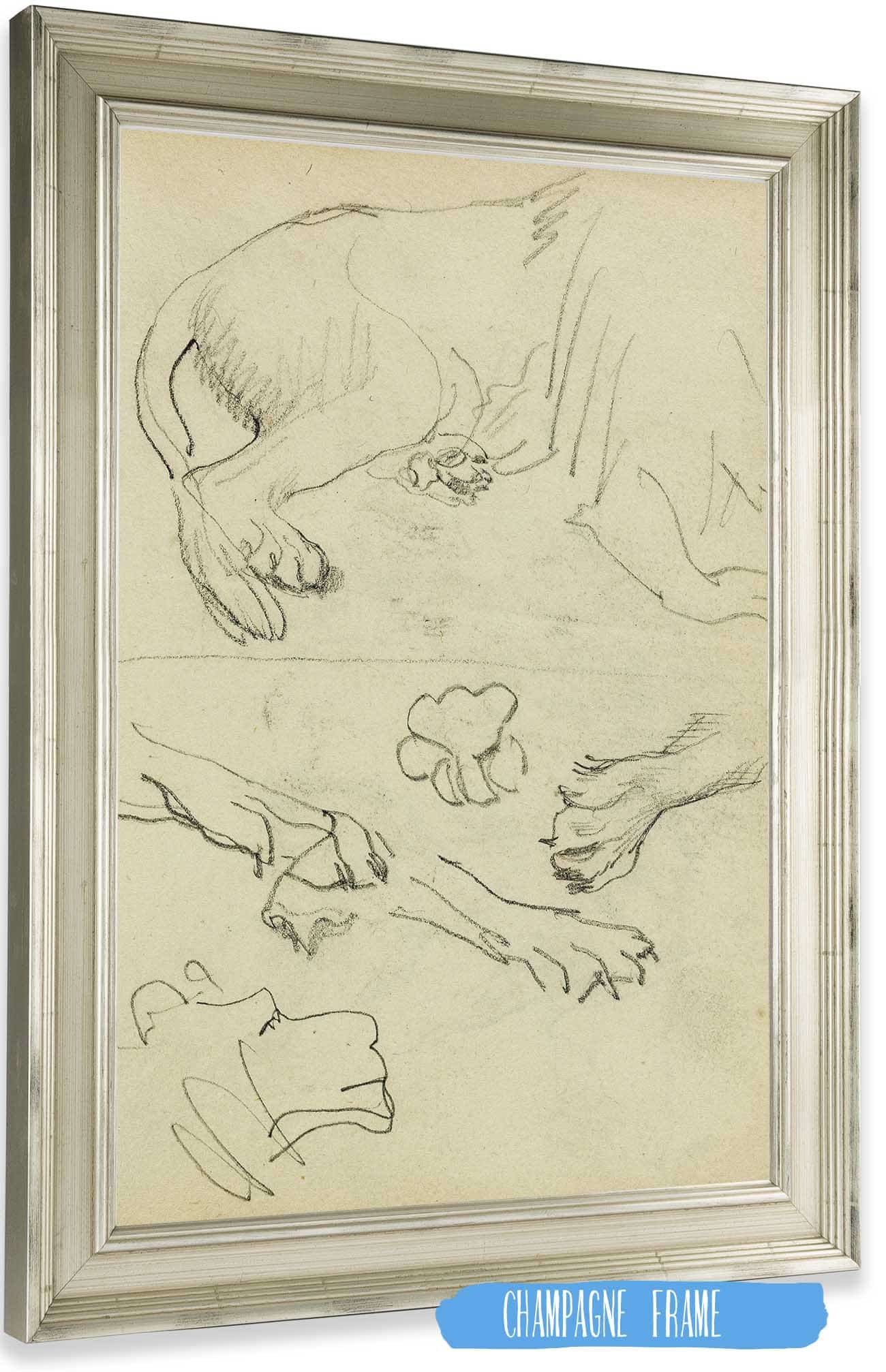 Various Studies Of Lion Leg Paws And Head by Theodore Gericault