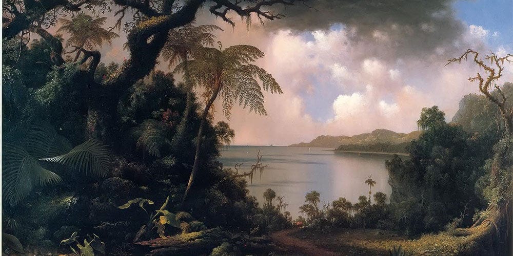 View From Fern Tree Jamaica By Martin Johnson Heade - Image 2