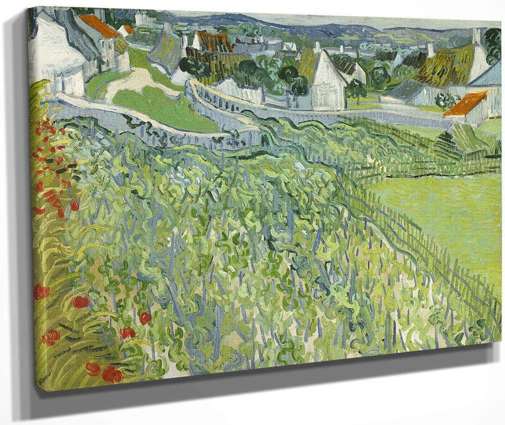 Vineyards At Auvers 3 By Vincent Van Gogh