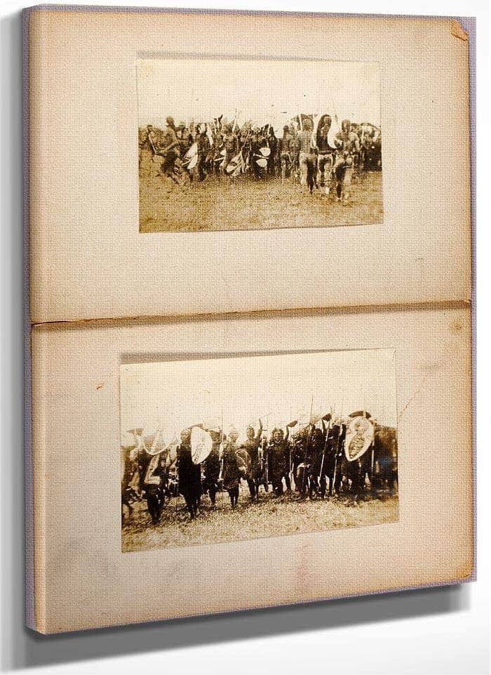 War Dance, Study Folder For Book Concealing Coloration In The Animal Kingdom By Abbott Handerson Thayer
