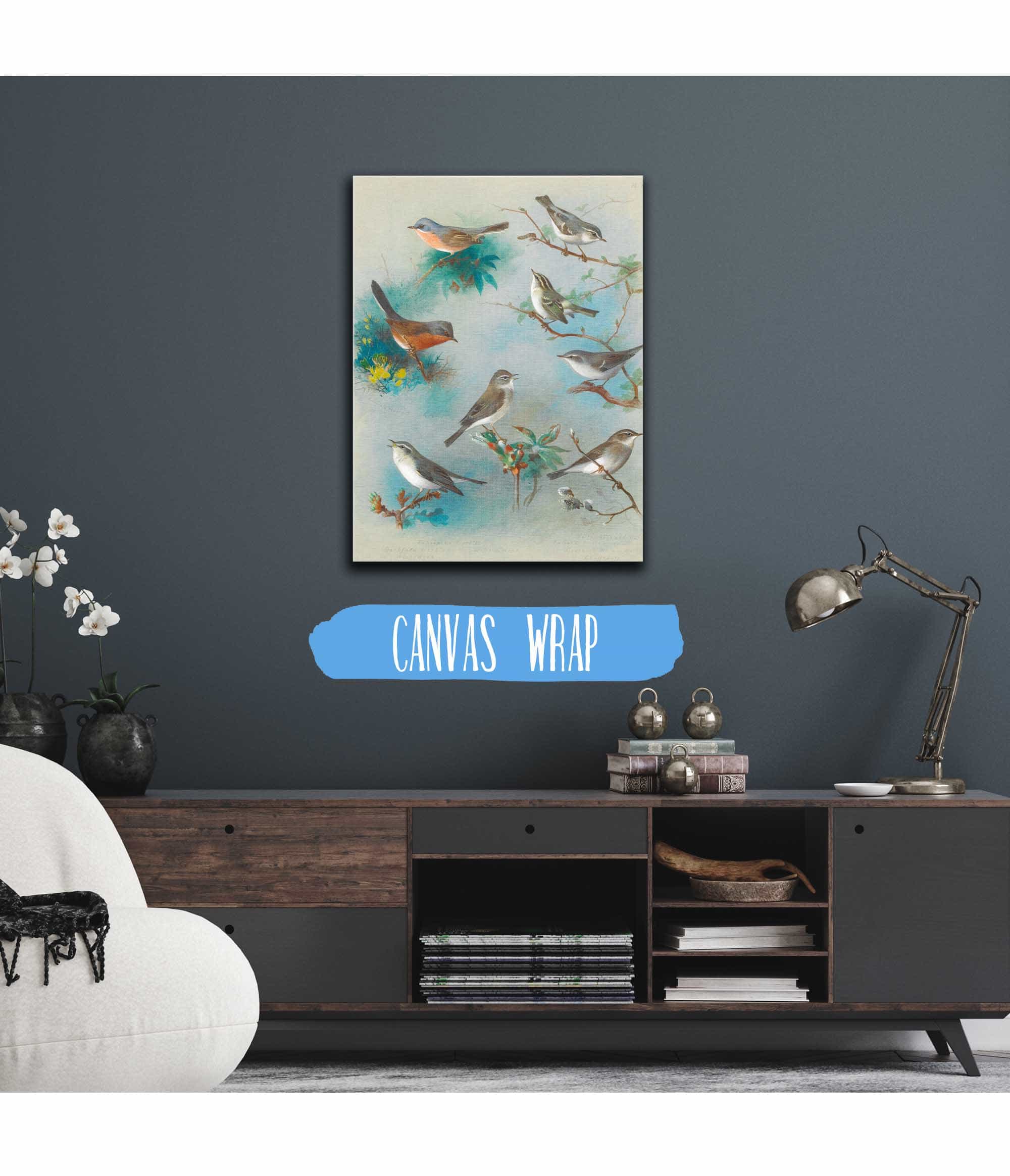 Warbler And Wrens by Archibald Thorburn - Image 3