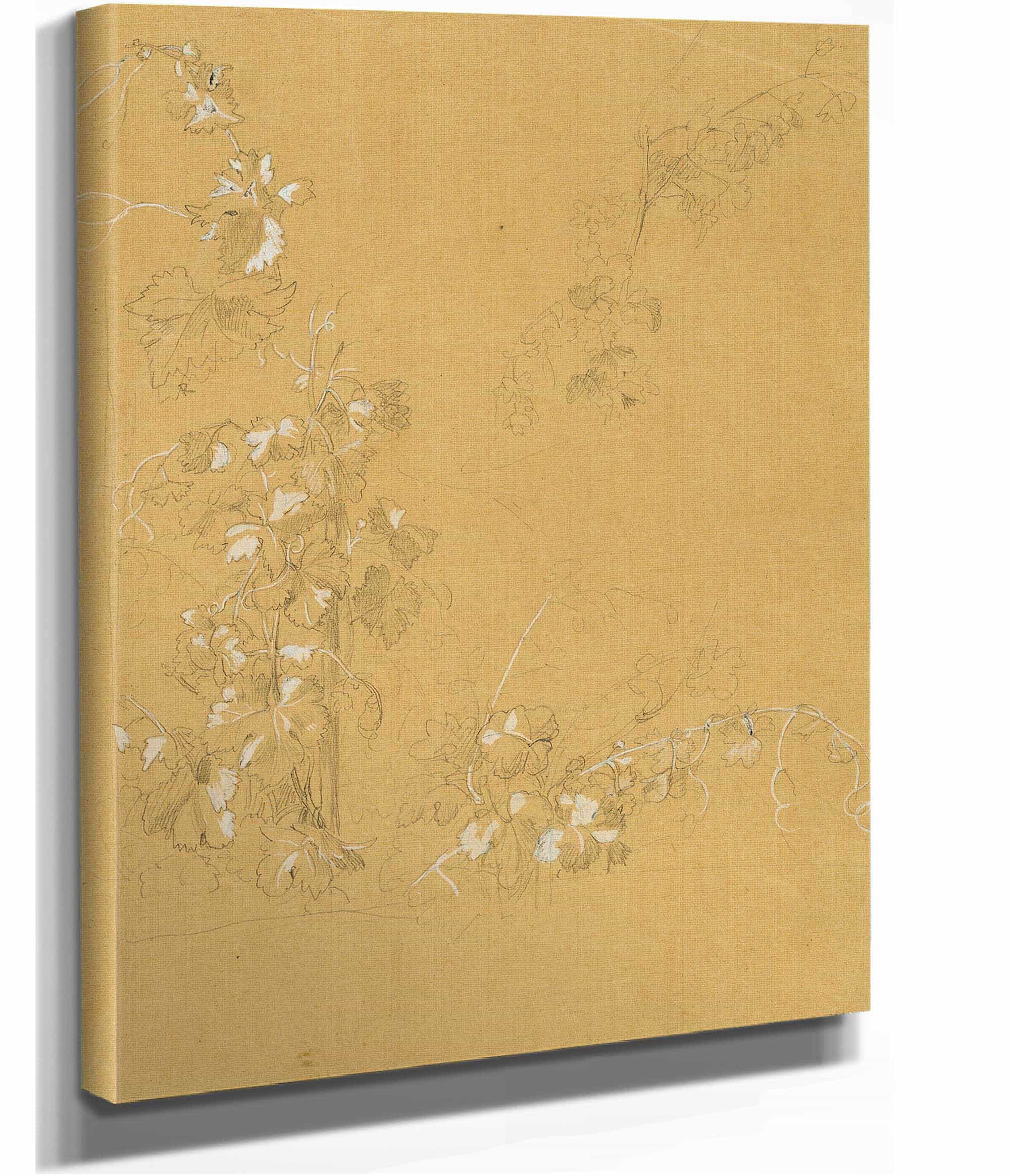 Weinstock Studie Zu Hermann Und Dorothea Im Weinberg Before by Johann Peter Krafft