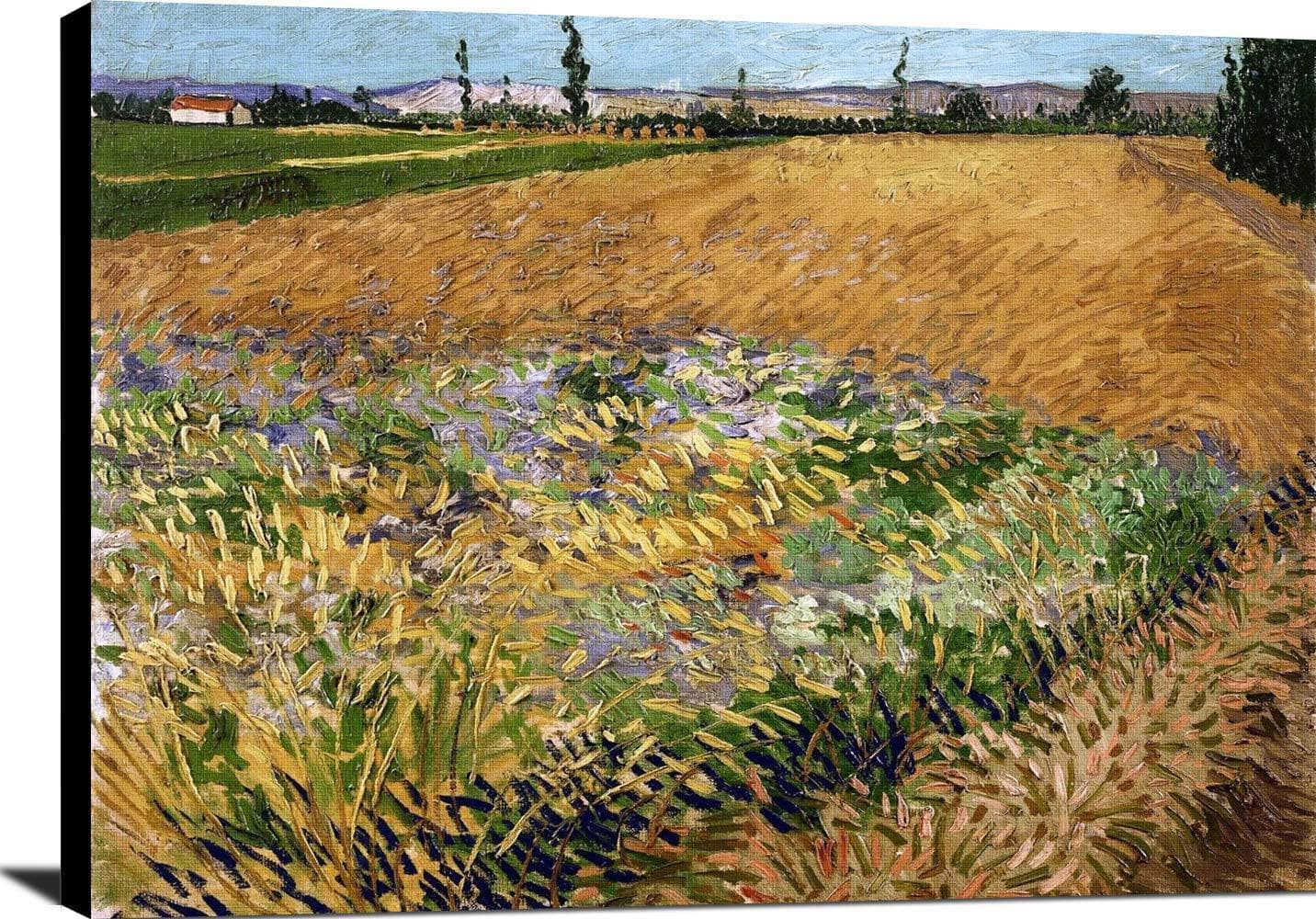 Wheatfield Painting Vincent Van Gogh Canvas Art - Image 2