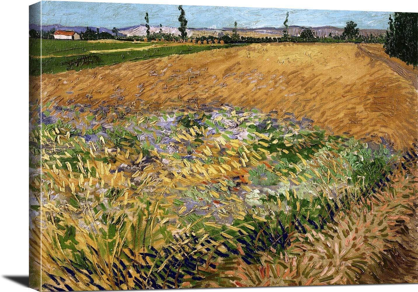 Wheatfield Painting Vincent Van Gogh Canvas Art - Image 3