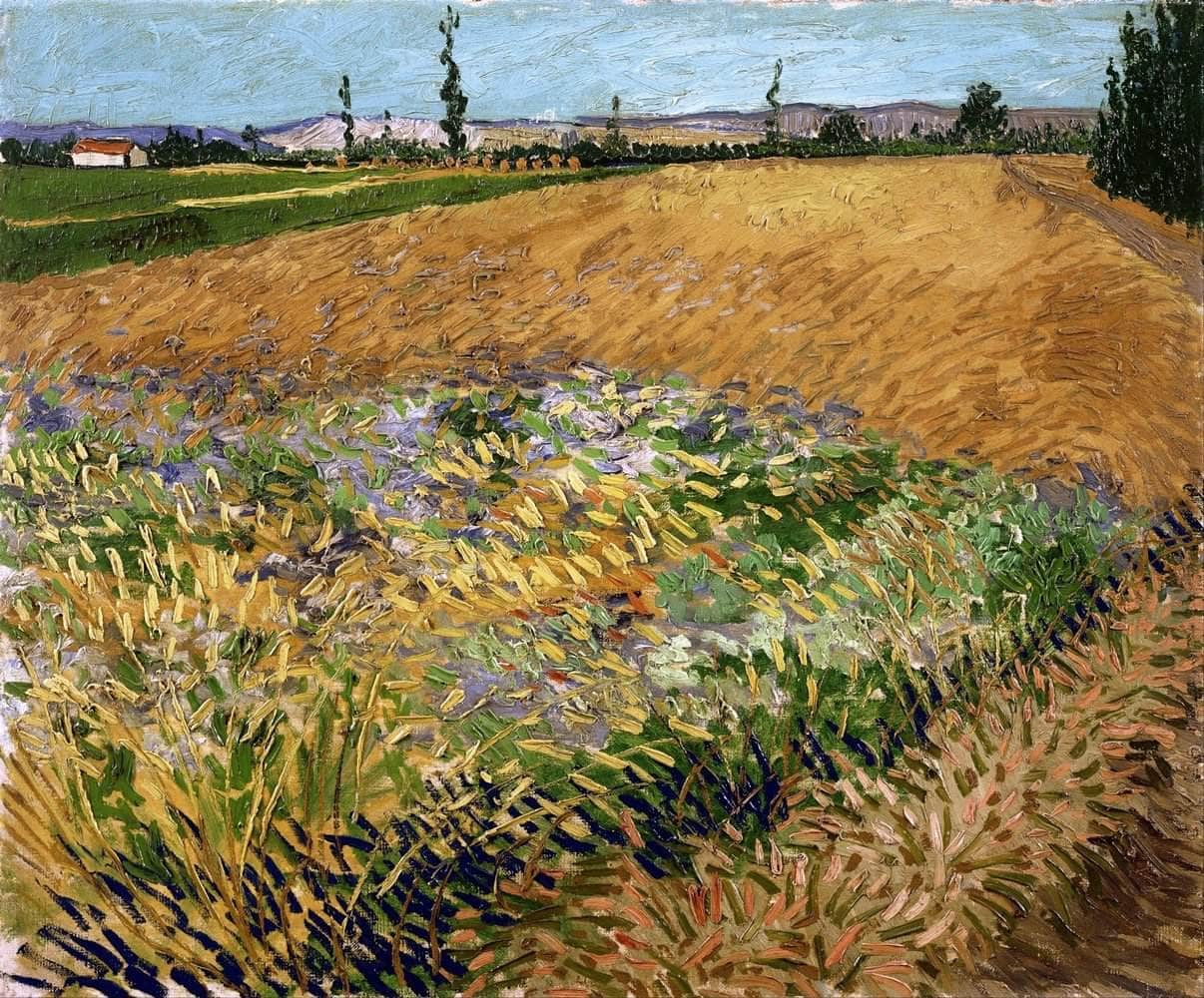 Wheatfield Painting Vincent Van Gogh Canvas Art - Image 5