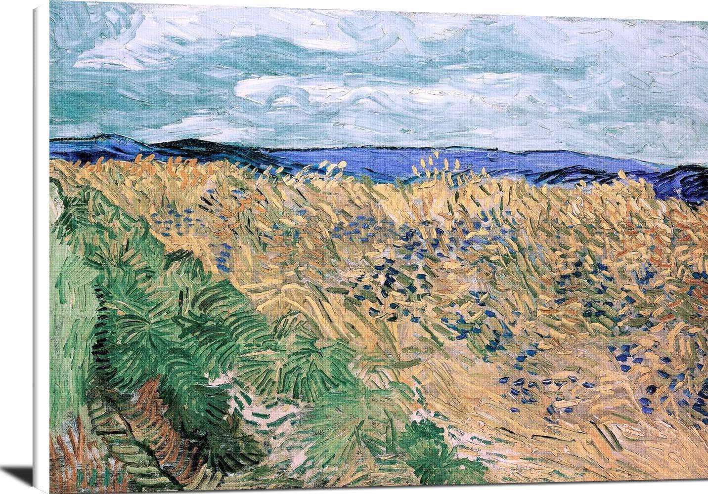 Wheatfield With Cornflowers Painting Vincent Van Gogh Canvas Art