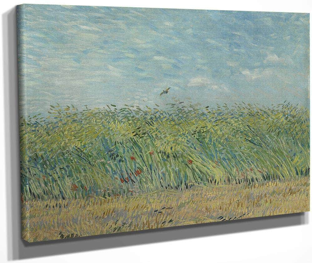 Wheatfield With Partridge 2 By Vincent Van Gogh