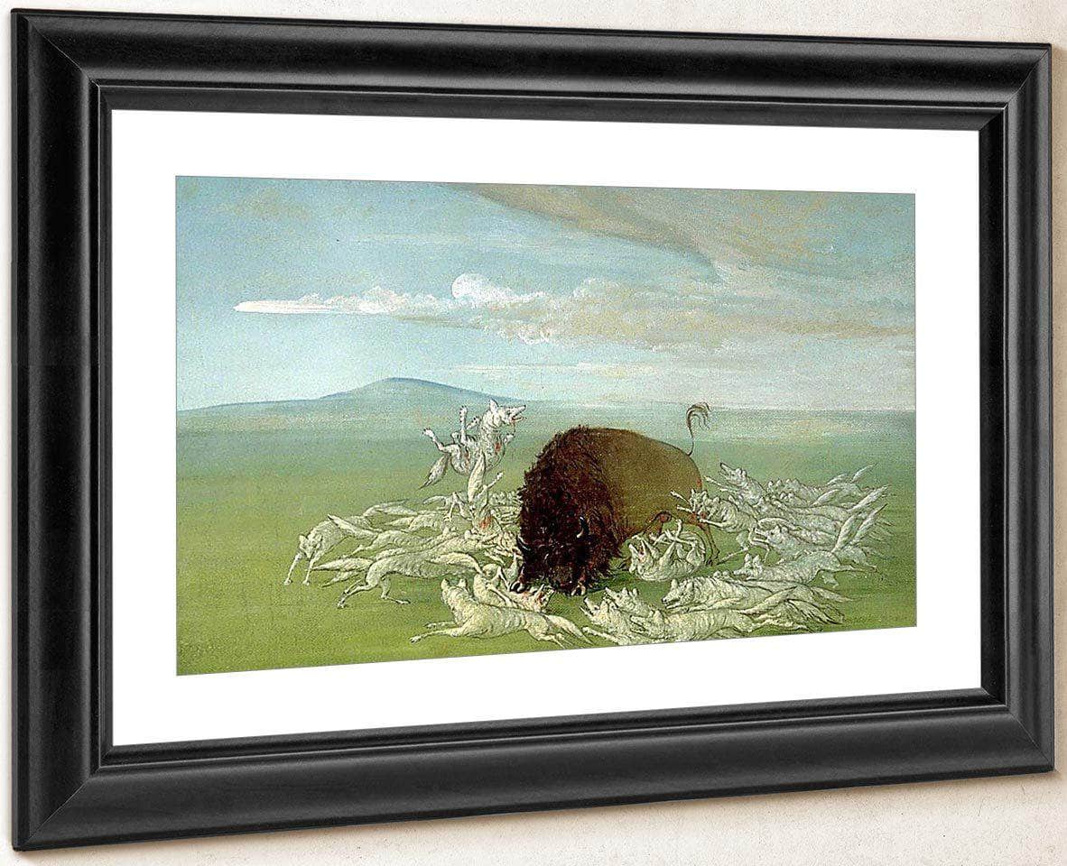 White Wolves Attacking A Buffalo Bull By George Catlin - Image 4