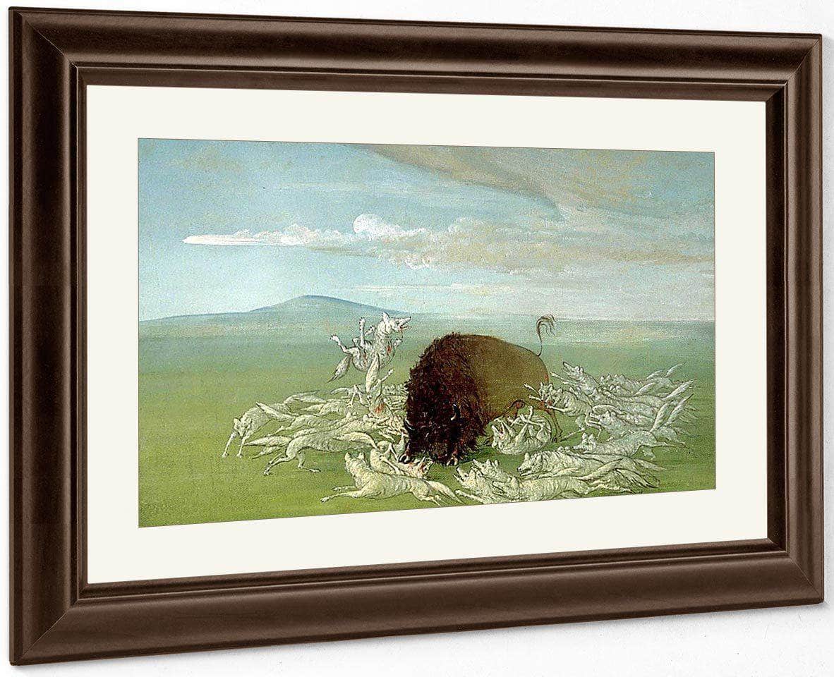 White Wolves Attacking A Buffalo Bull By George Catlin - Image 5