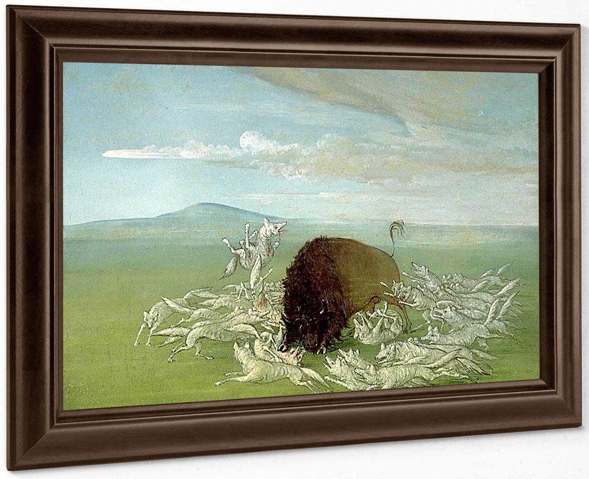 White Wolves Attacking A Buffalo Bull By George Catlin - Image 6