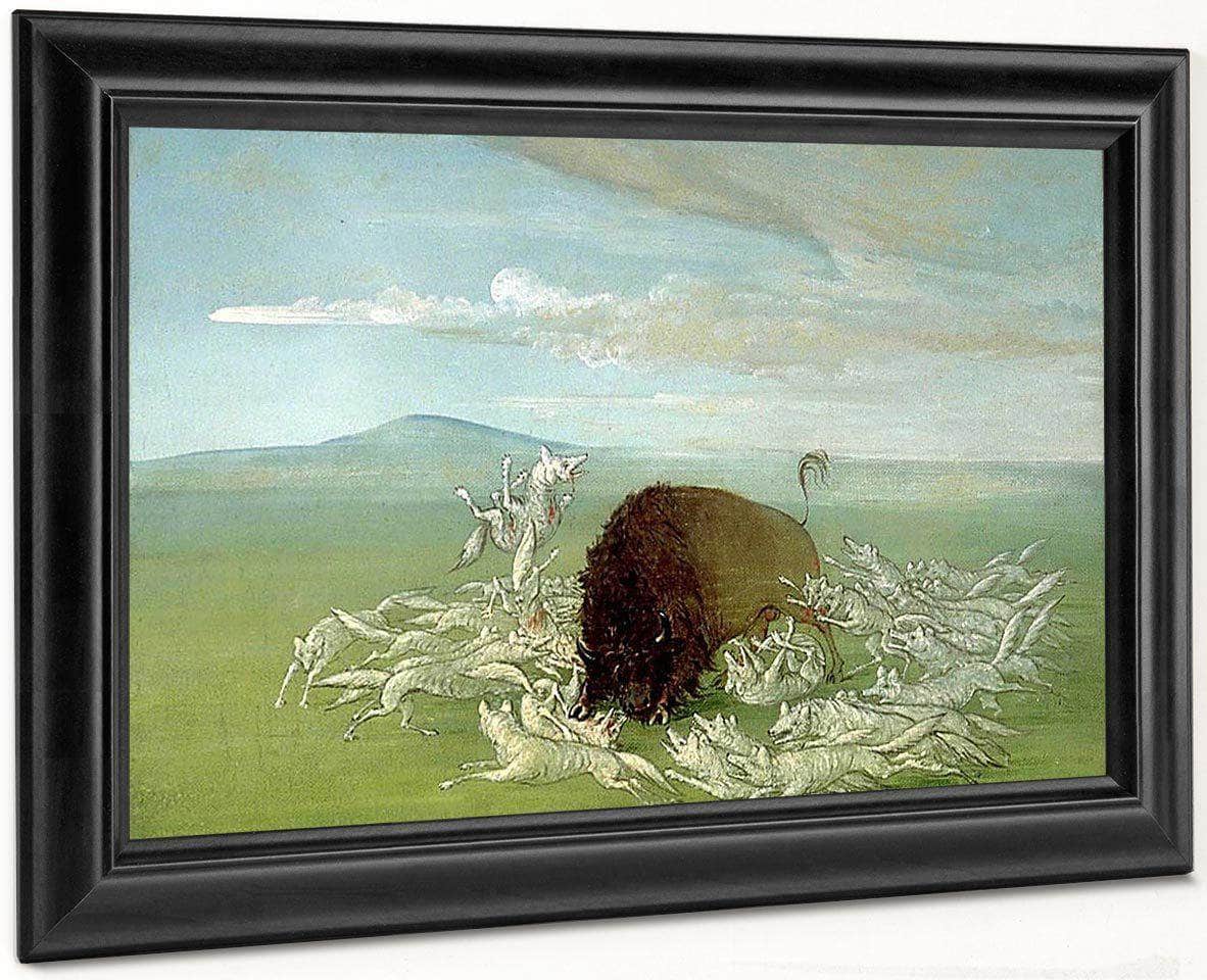 White Wolves Attacking A Buffalo Bull By George Catlin - Image 8