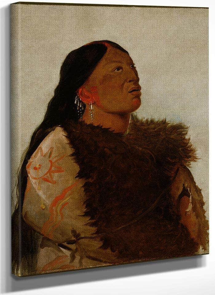 Wife Of The Six By George Catlin
