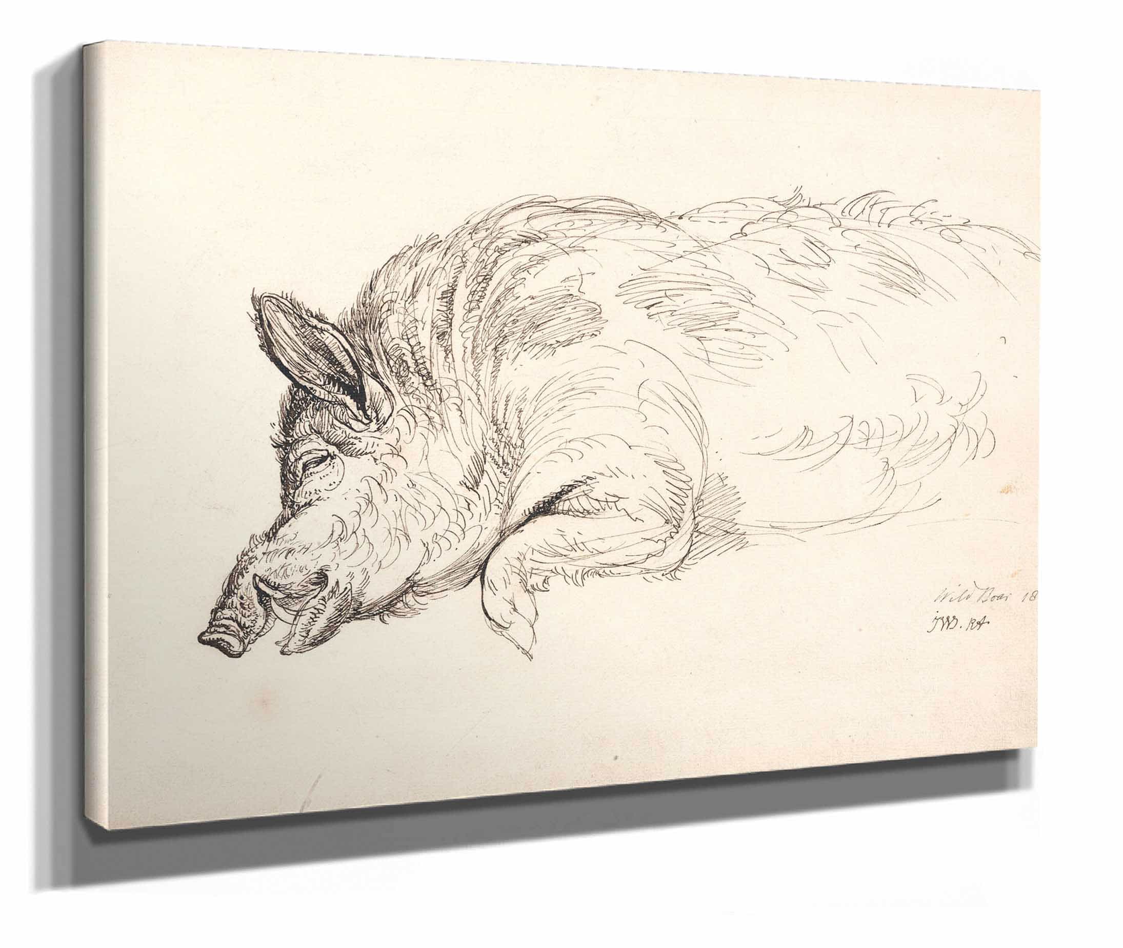 Wild Boar by James Ward - Image 2