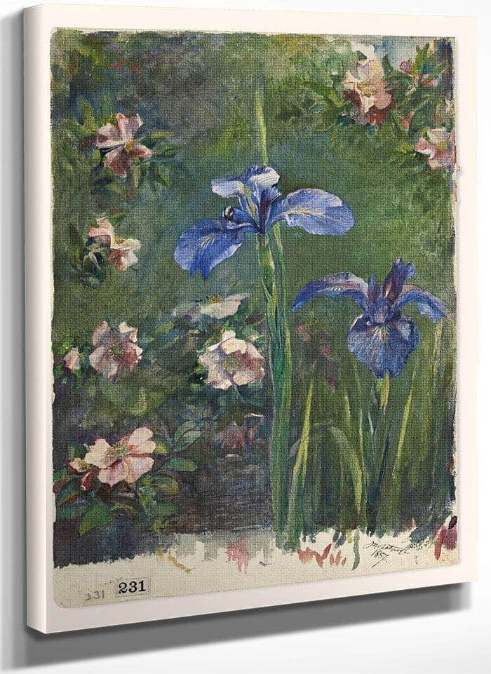 Wild Roses And Irises By John La Farge