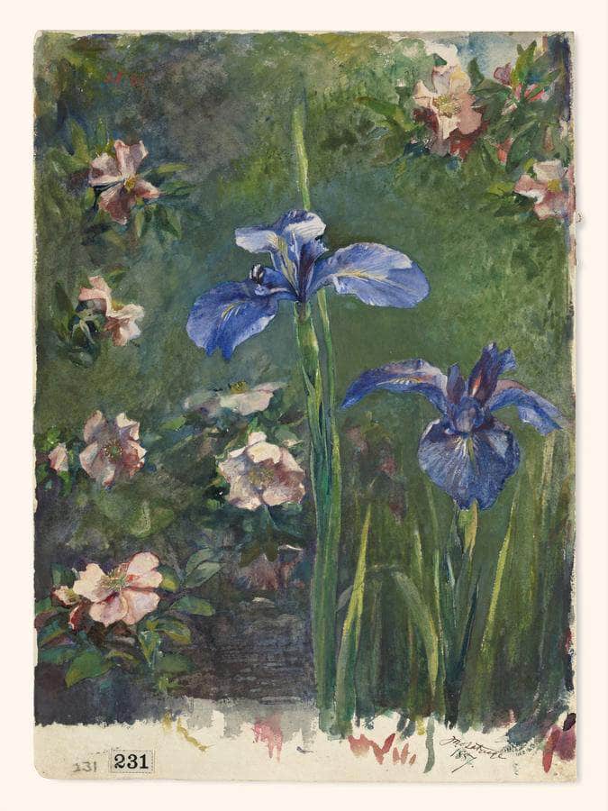 Wild Roses And Irises By John La Farge - Image 6
