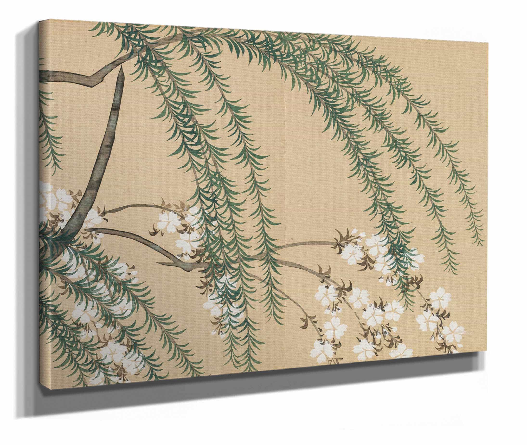 Willow And Cherry Yanagizakura by Kamisaka Sekka - Image 2
