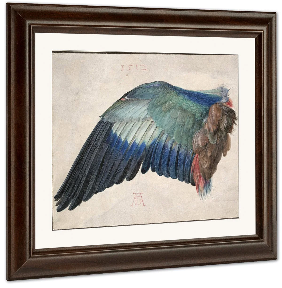 Wing Of A Roller 1500 By Albrecht Durer - Image 3