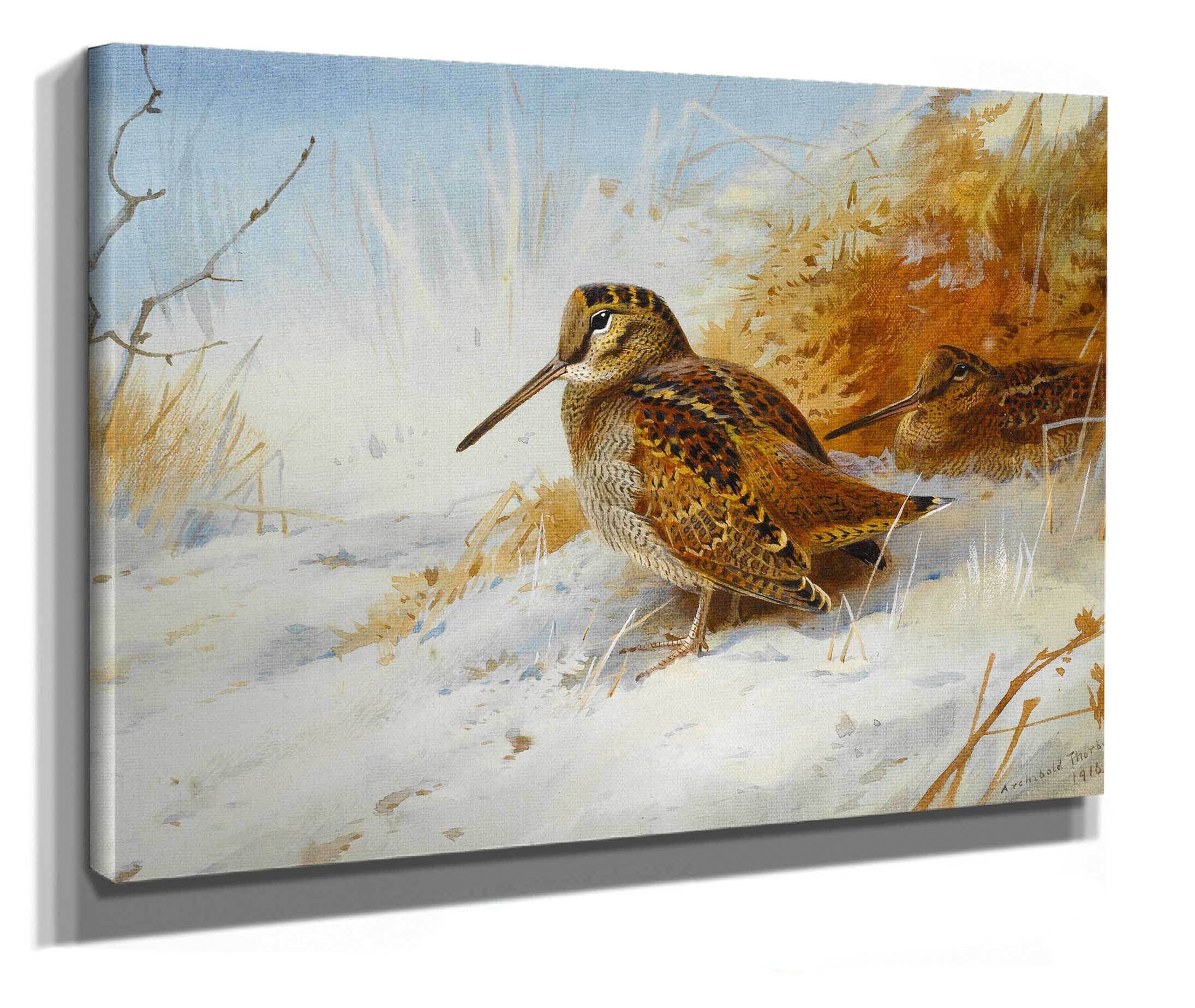 Winter Woodcock by Archibald Thorburn - Image 2