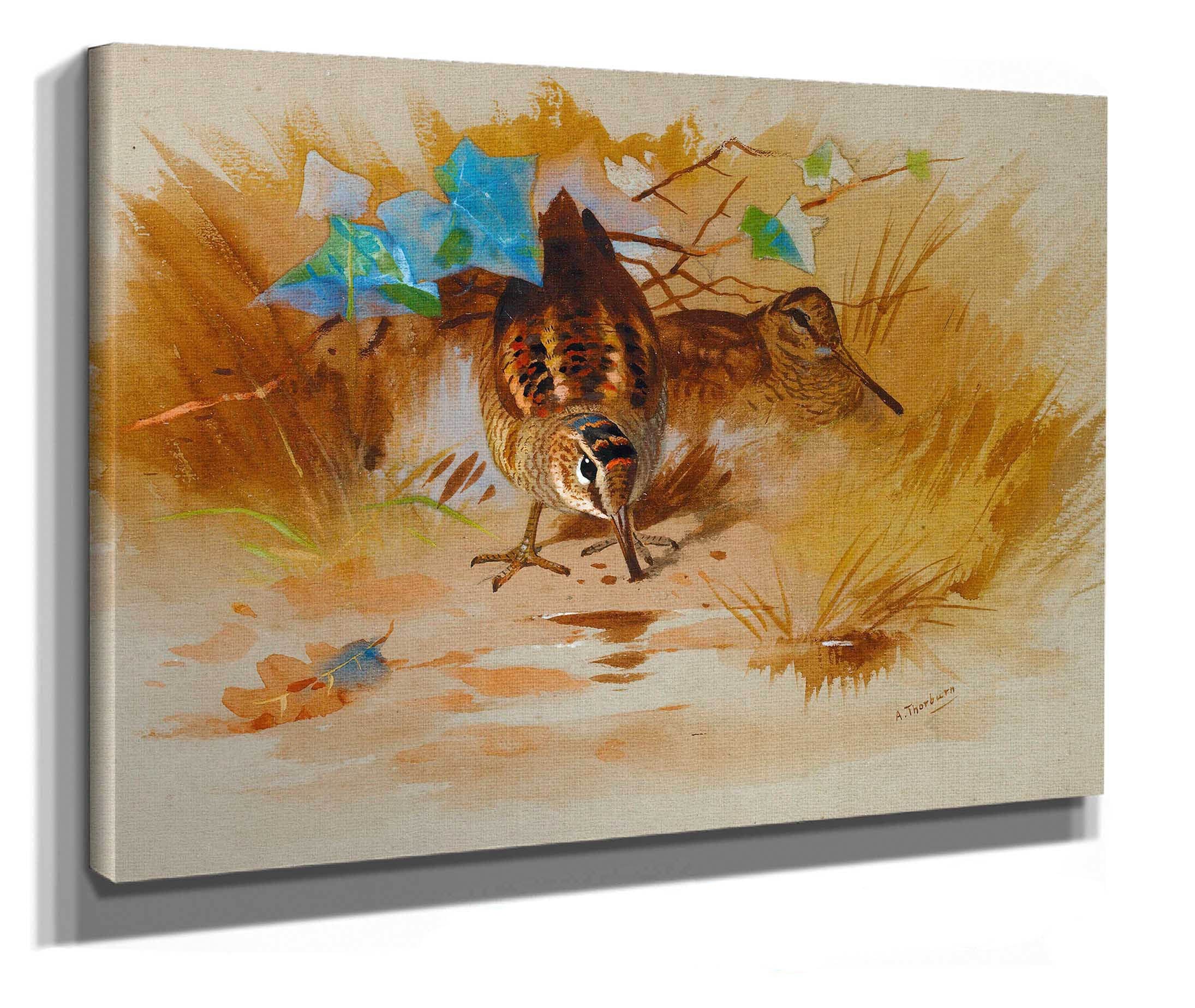 Woodcock In A Sandy Hollow by Archibald Thorburn - Image 2