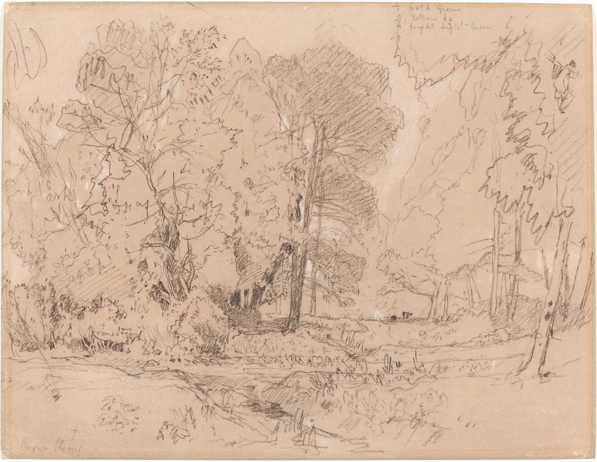 Wooded Landscape Probably by John Sell Cotman
