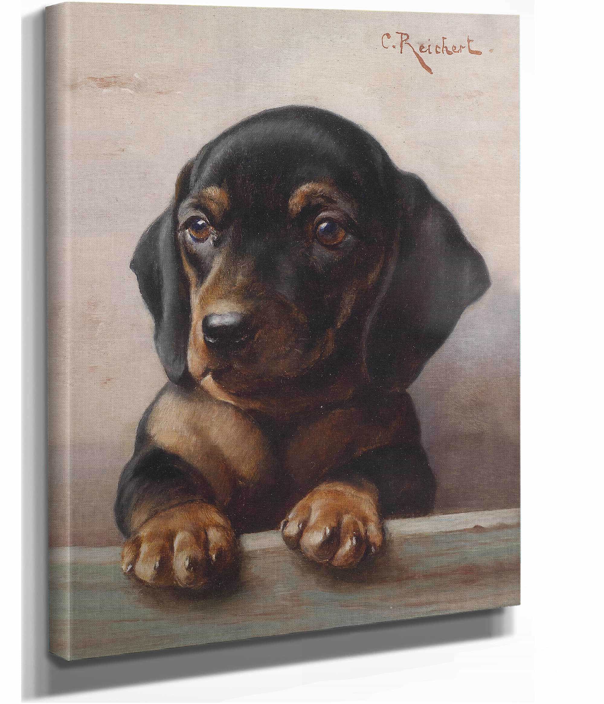 Young Dachshund by Carl Reichert - Image 2