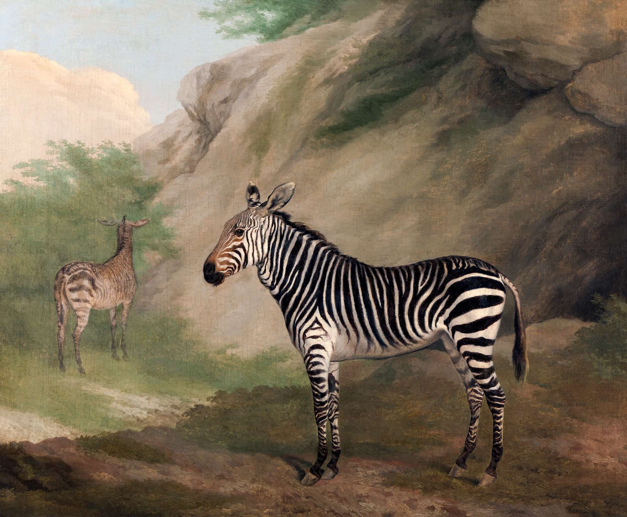 Zebra by Jacques Laurent Agasse
