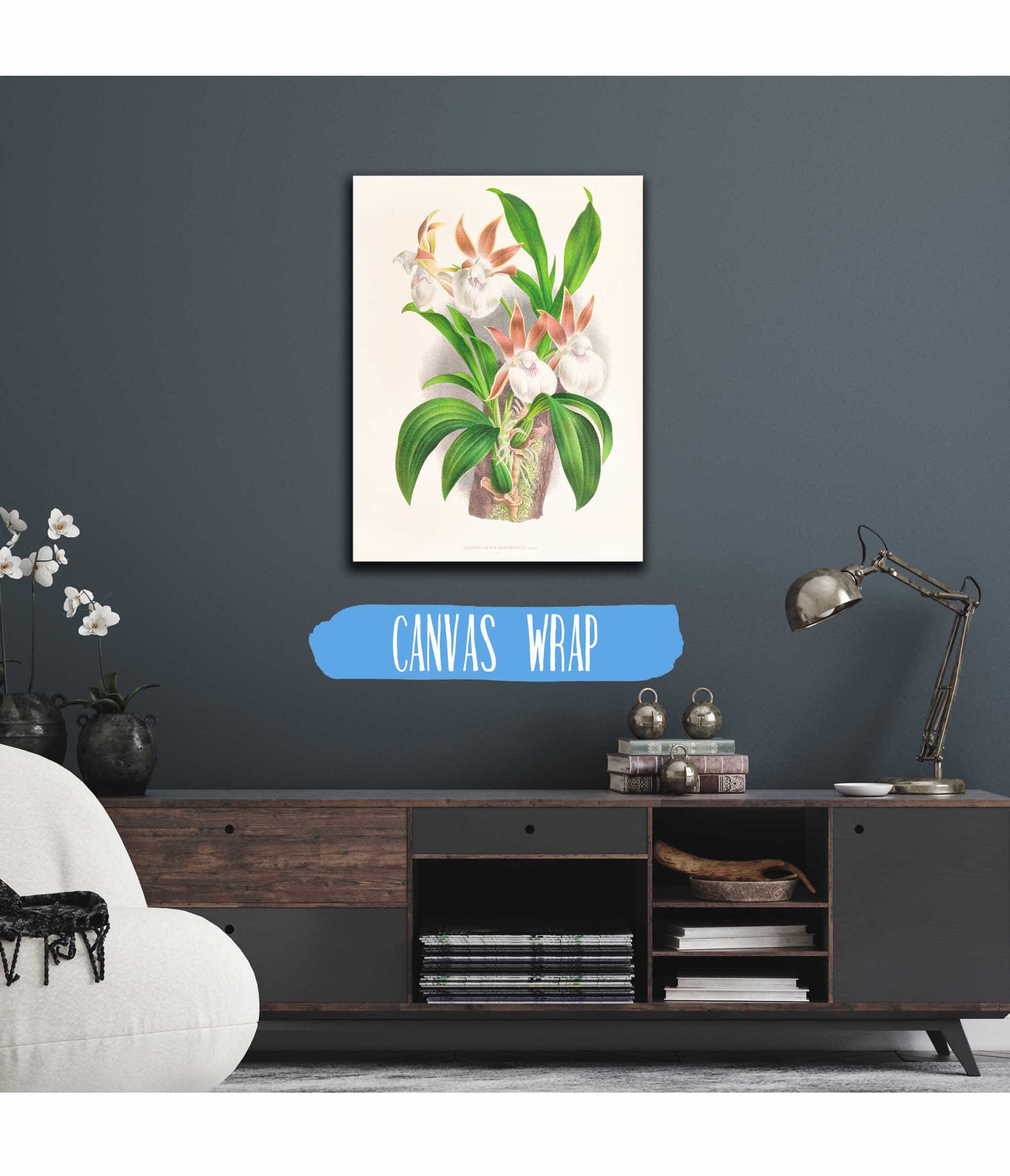 Zygopetalum Rostratum by Jean Jules Linden - Image 3